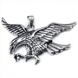 Ocelový přívěsek - Orlice