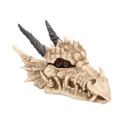 Dekorační krabička - Dragon Skull