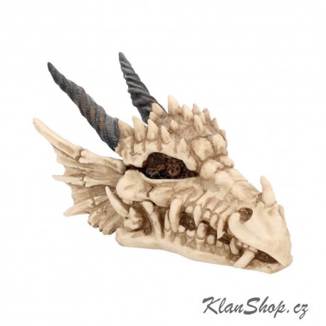 Dekorační krabička - Dragon Skull