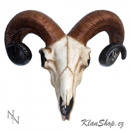 Dekorace na zeď - Rams Skull