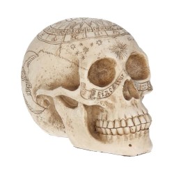 Dekorační Figurka - Astrological Skull