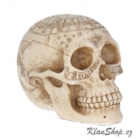 Dekorační Figurka - Astrological Skull