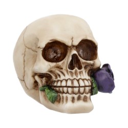 Dekorační Figurka - Purple Rose from the Dead