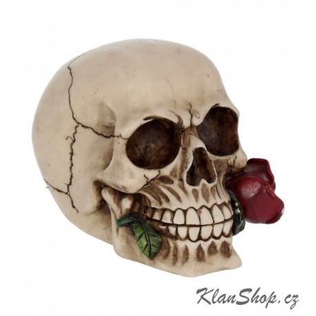 Dekorační Figurka - Rose from the Dead