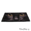 Rohožka - Cat