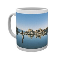 Hrnek Pink Floyd - Diving Man