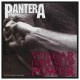 Nášivka Pantera - Vulgar Display Of Power