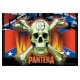Vlajka Pantera 