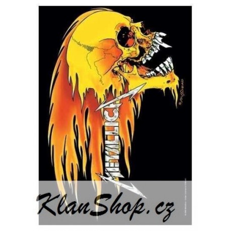Vlajka Metallica - Skull And Flames