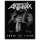 Nášivka Anthrax - Among the living