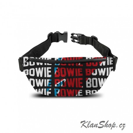 Ledvinka David Bowie - Warped