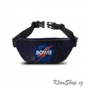 Ledvinka David Bowie - Space Heritage
